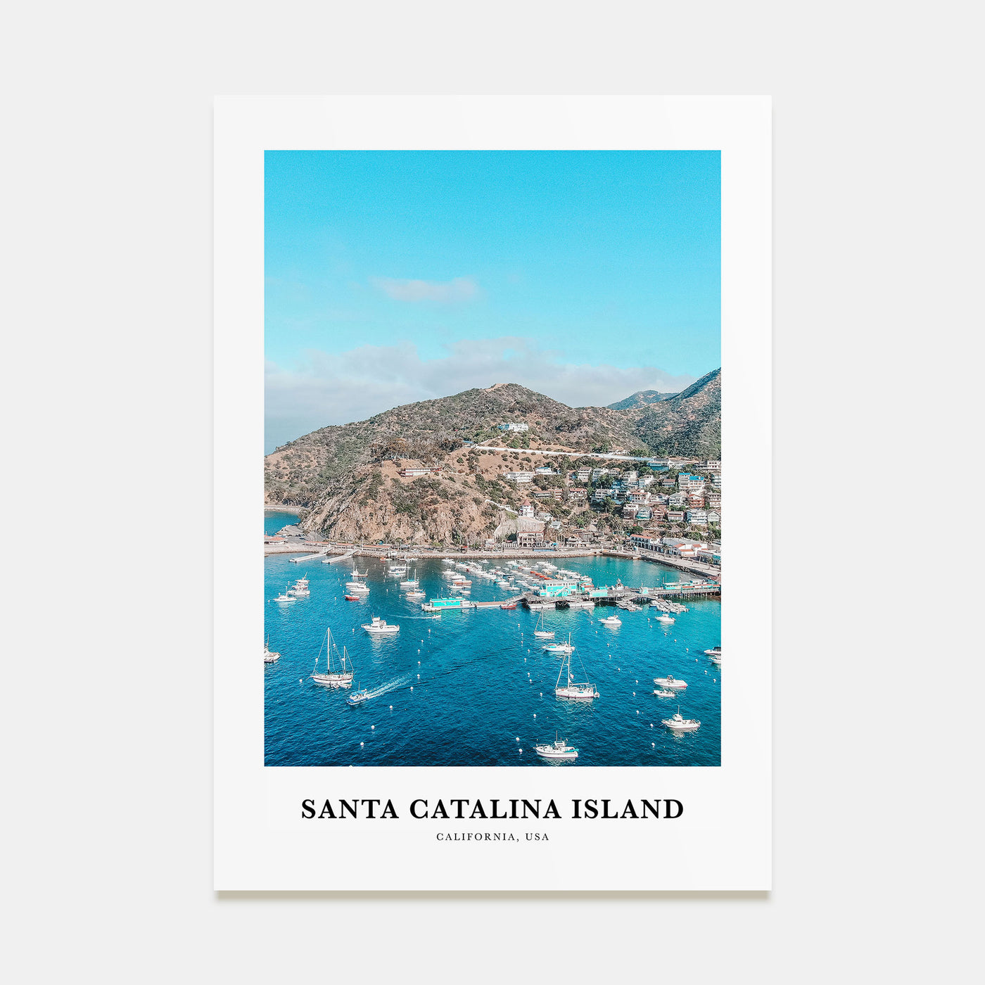 Santa Catalina Island Portrait Color Poster