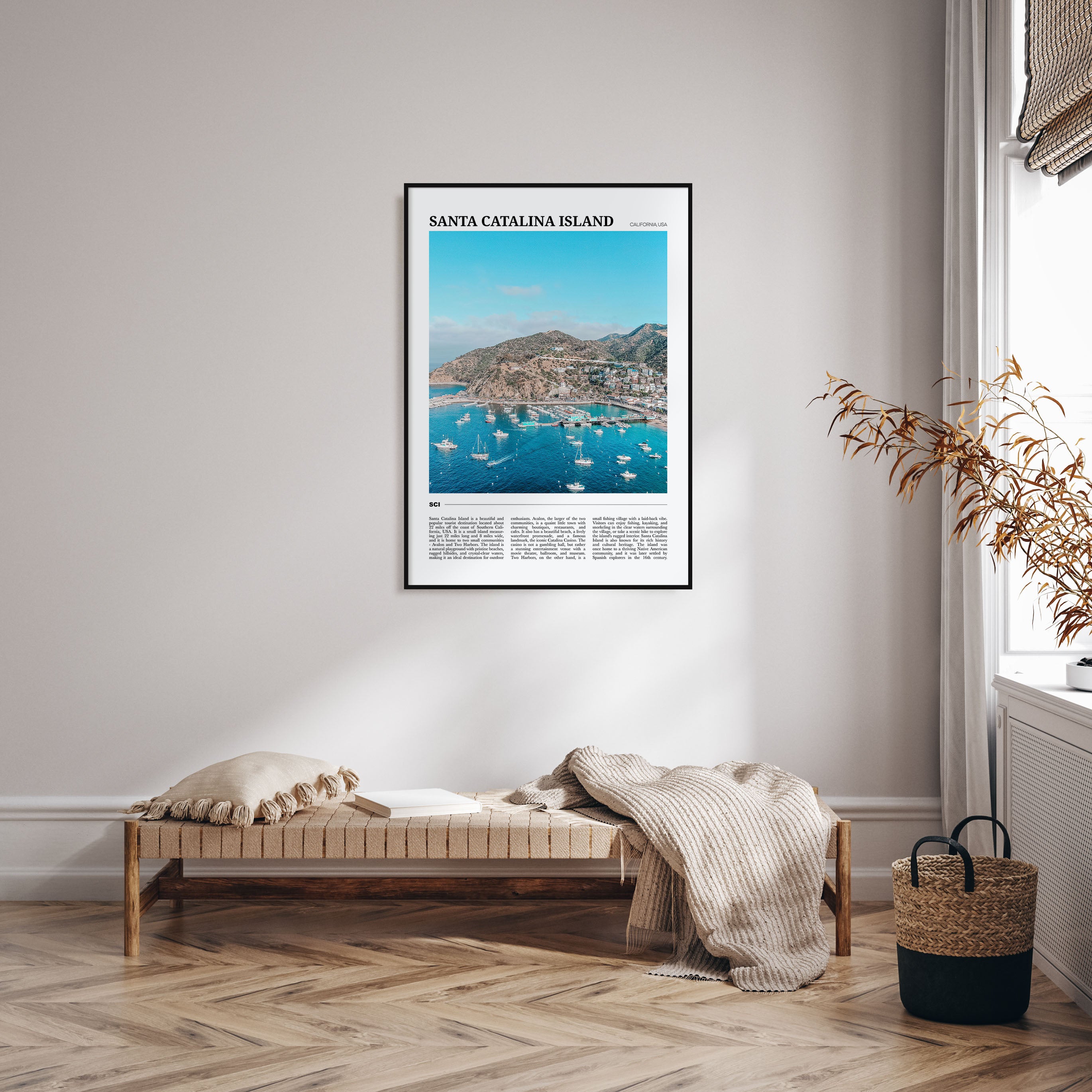 Santa Catalina Island Travel Color Poster