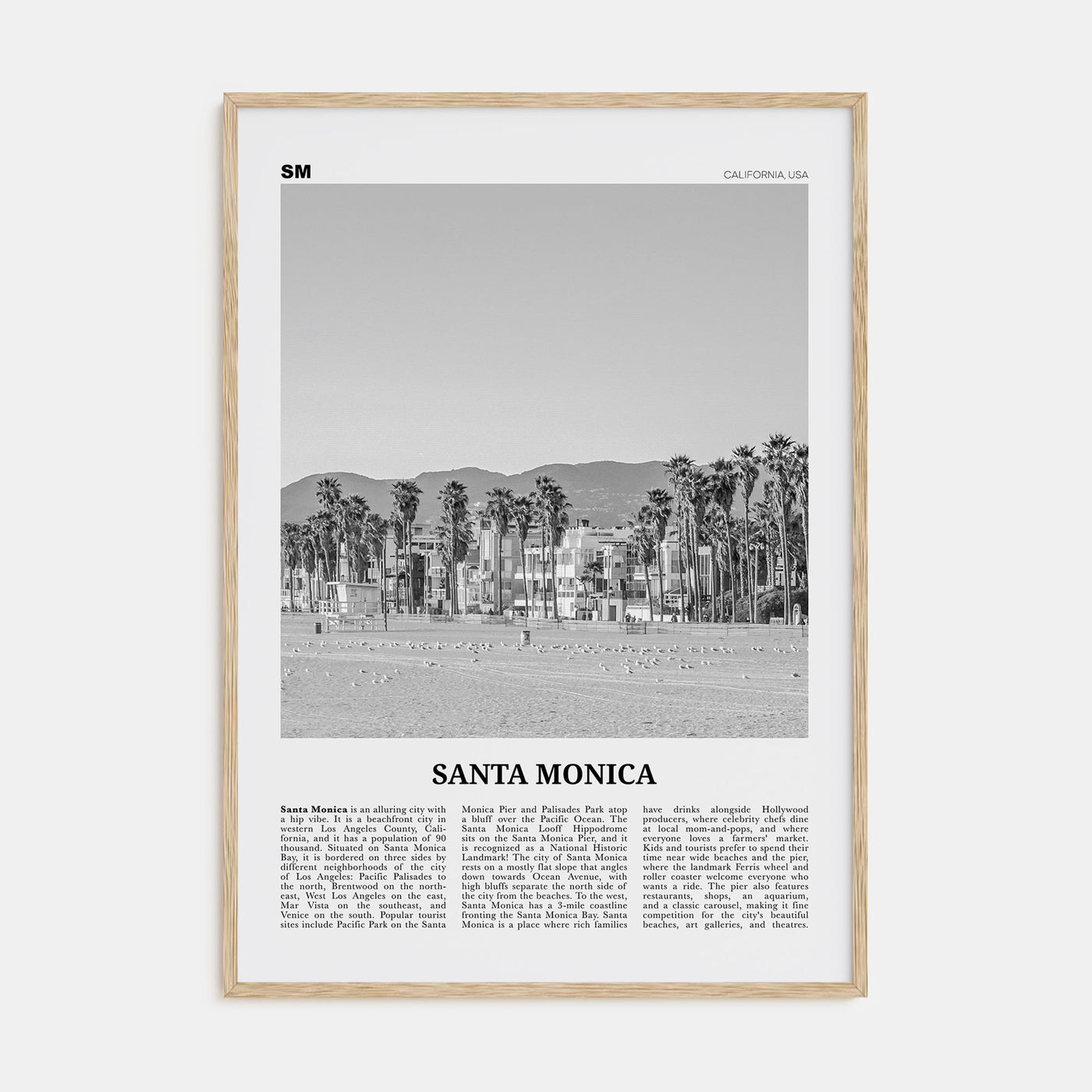 Santa Monica Travel B&W No 2 Poster
