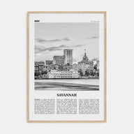 Savannah Travel B&W No 1 Poster