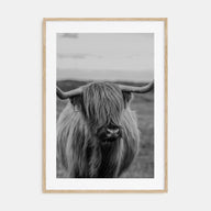 Scottish Highlander Photo B&W No 2 Poster