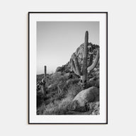 Scottsdale Photo B&W No 2 Poster