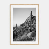 Scottsdale Photo B&W No 2 Poster