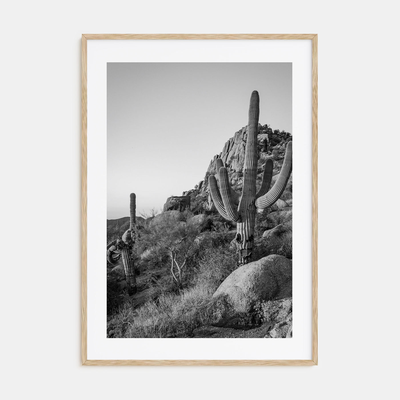 Scottsdale Photo B&W No 2 Poster