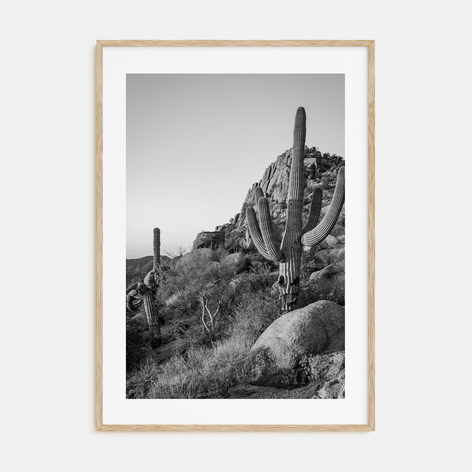 Scottsdale Photo B&W No 2 Poster