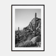 Scottsdale Photo B&W No 2 Poster