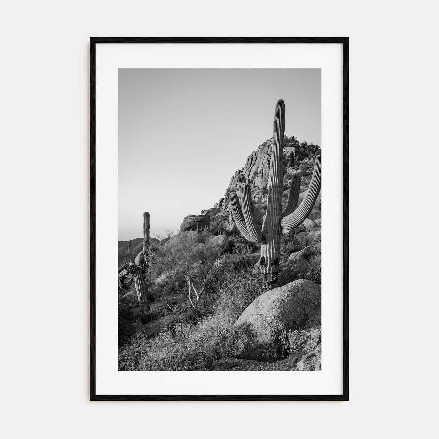 Scottsdale Photo B&W No 2 Poster