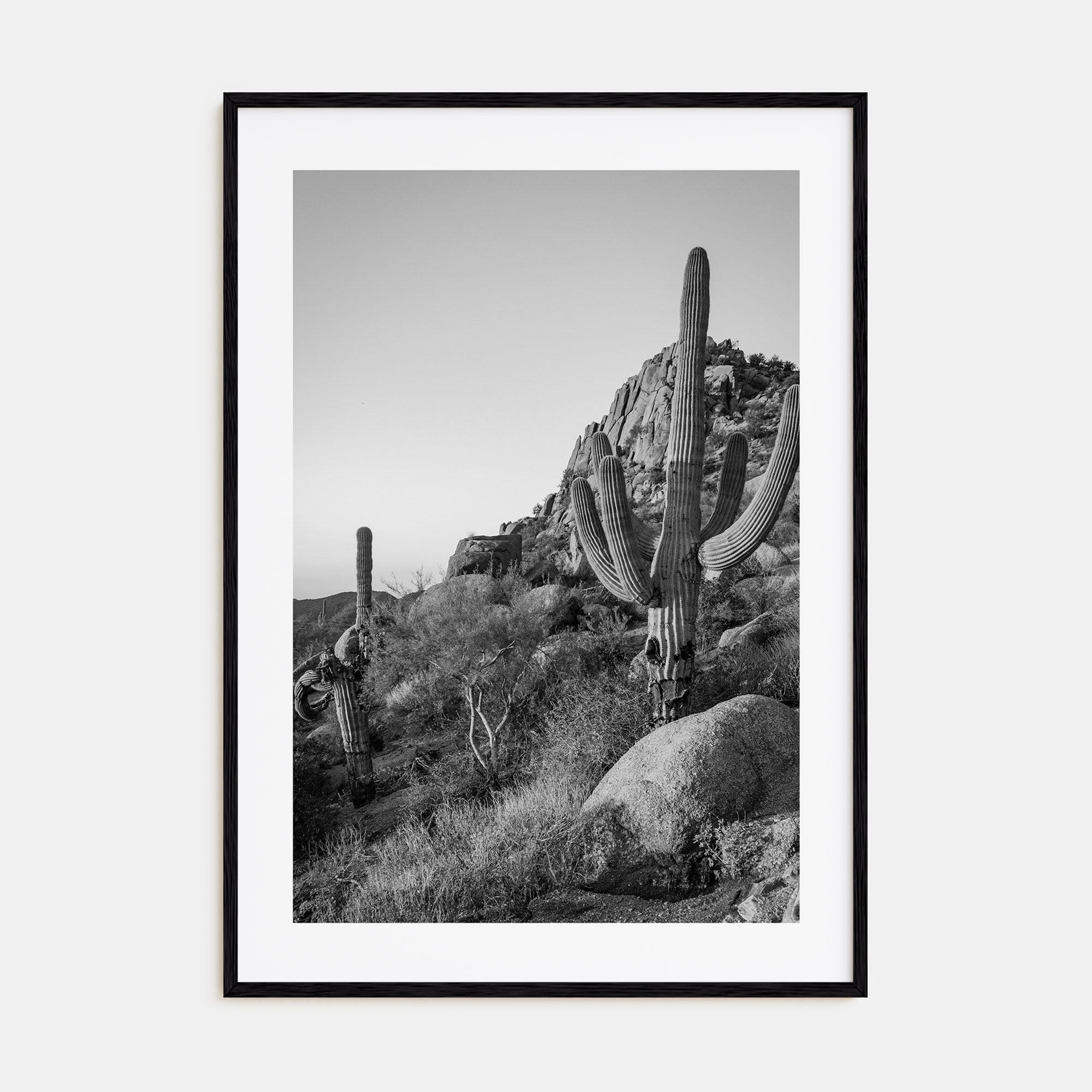 Scottsdale Photo B&W No 2 Poster