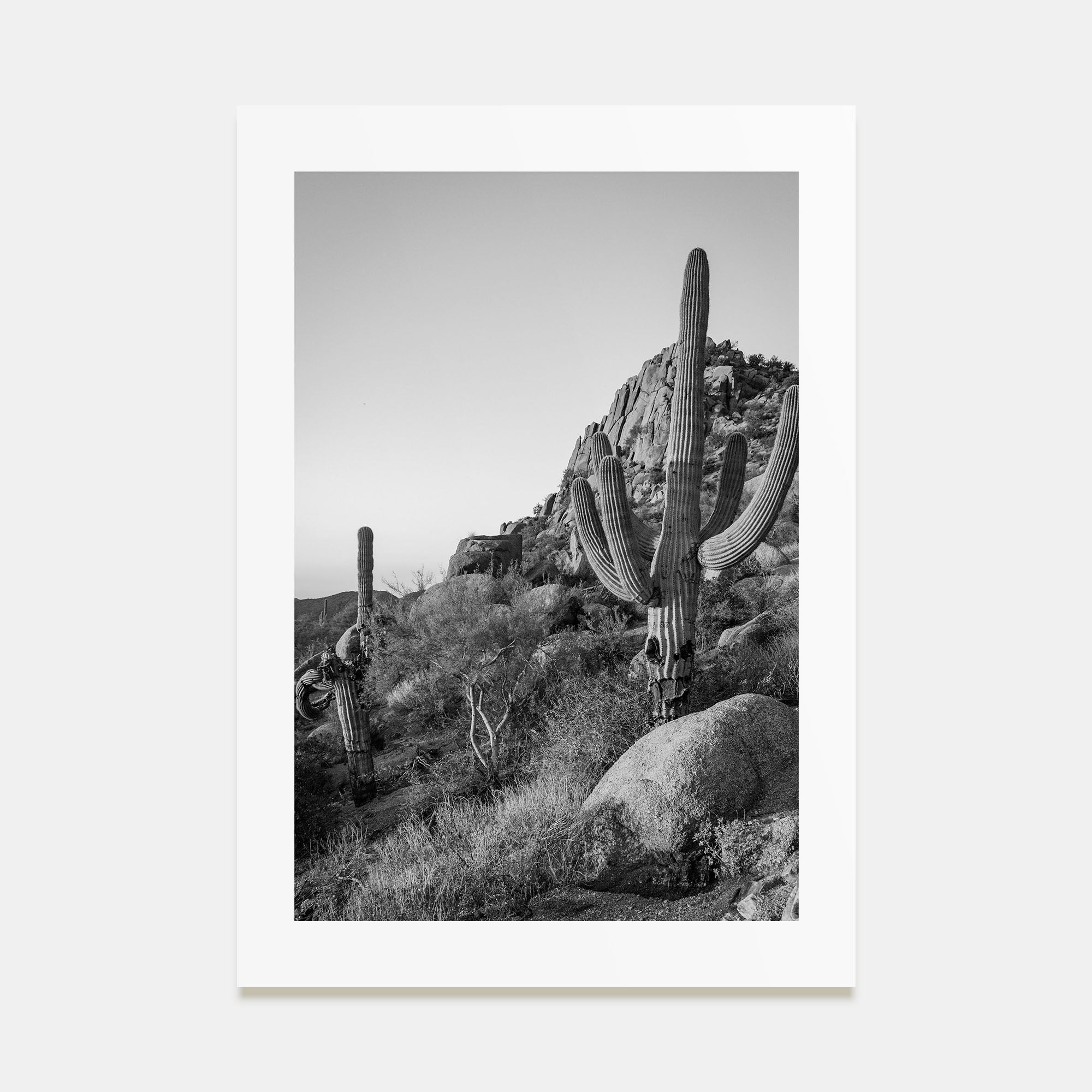 Scottsdale Photo B&W No 2 Poster