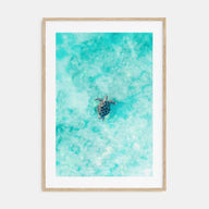 Sea Turtle Photo Color No 1 Poster