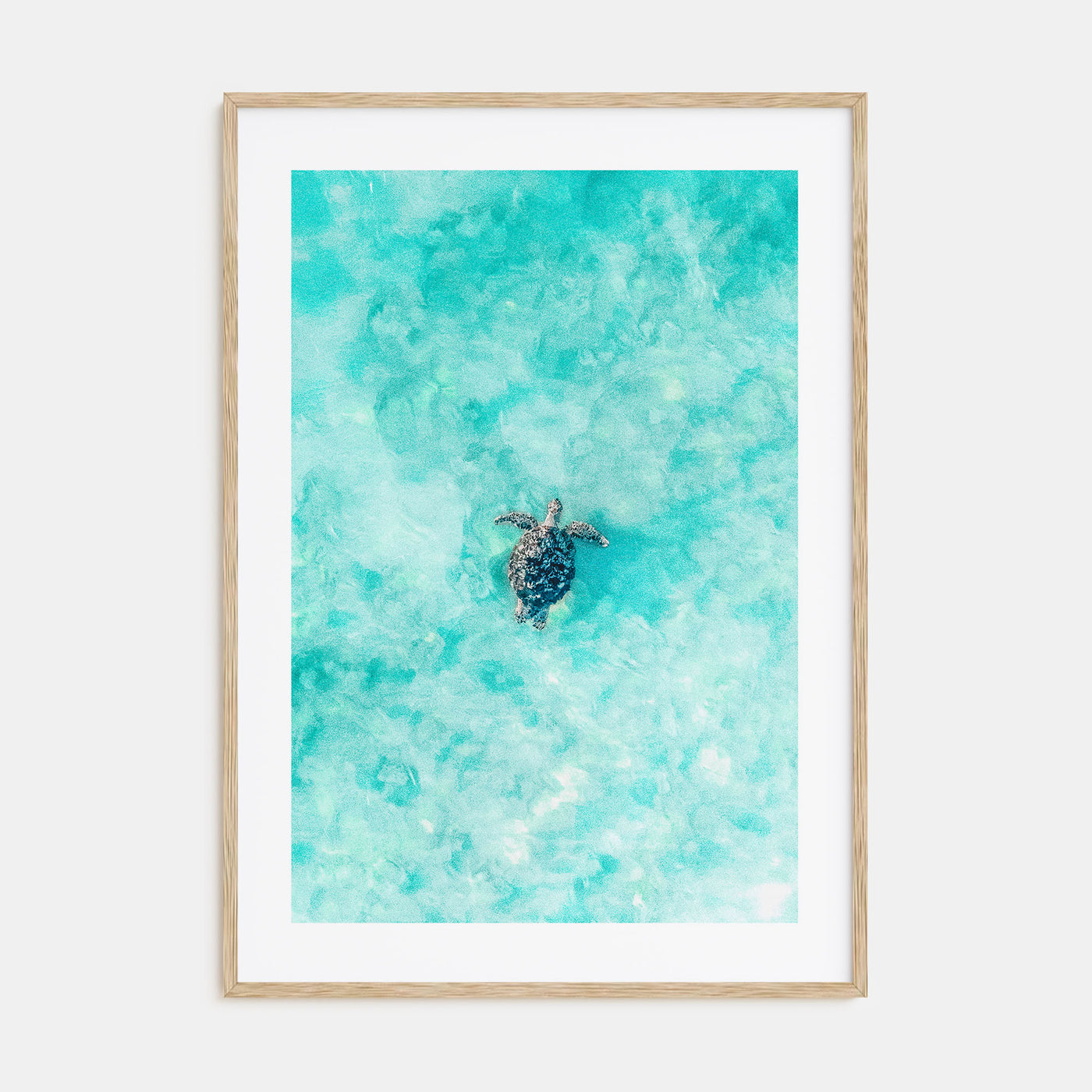 Sea Turtle Photo Color No 1 Poster