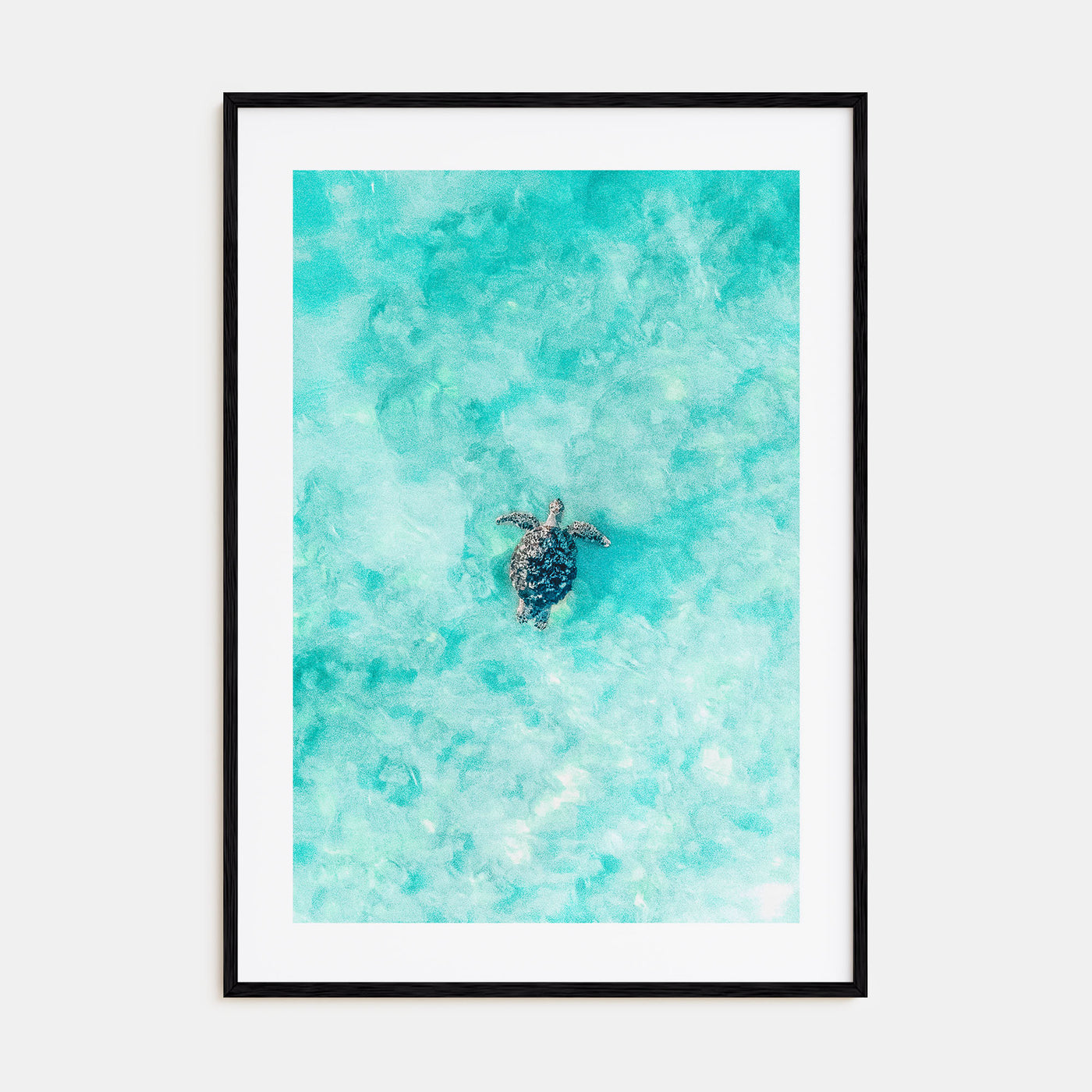 Sea Turtle Photo Color No 1 Poster