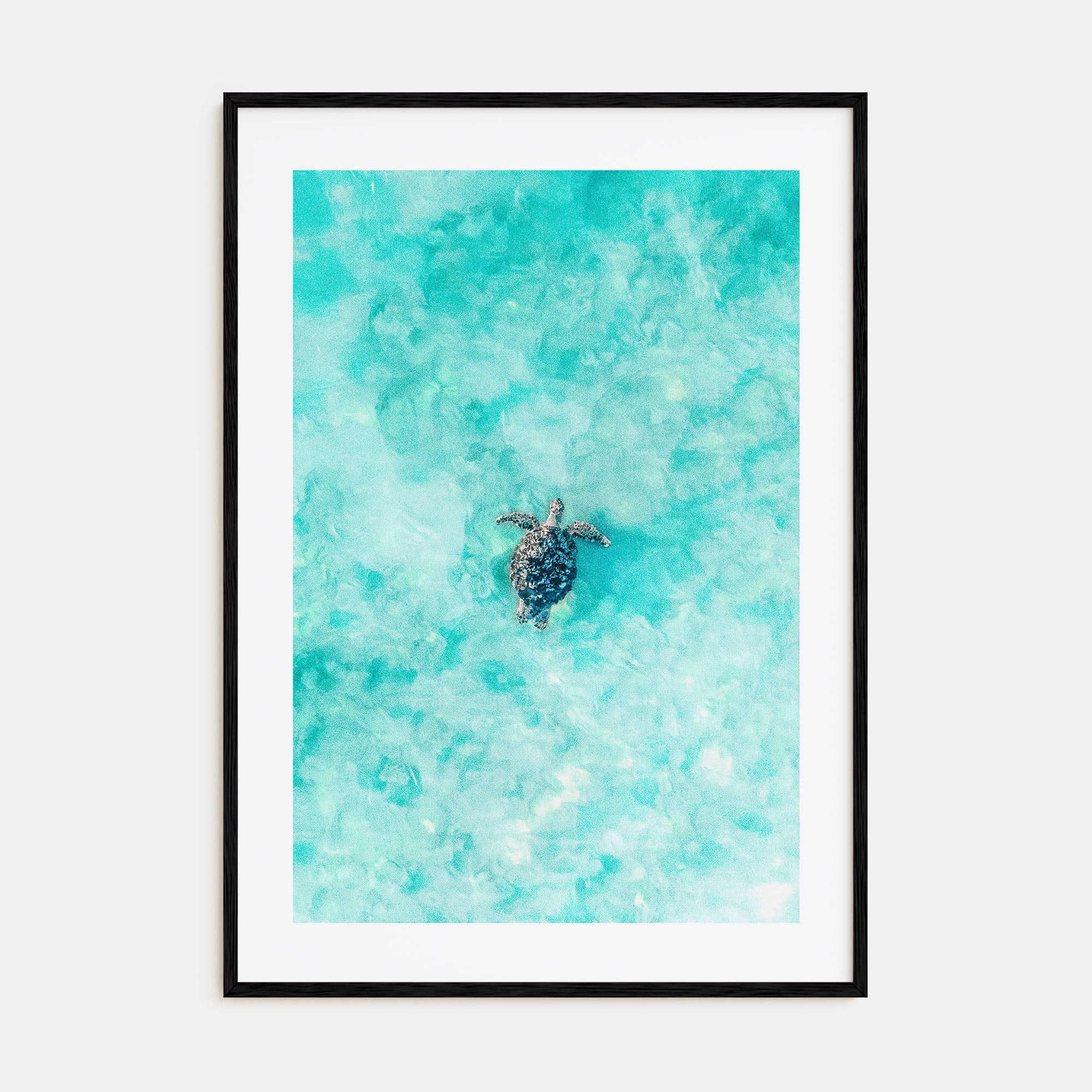 Sea Turtle Photo Color No 1 Poster