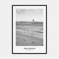Seal Beach Portrait B&W No 1 Poster