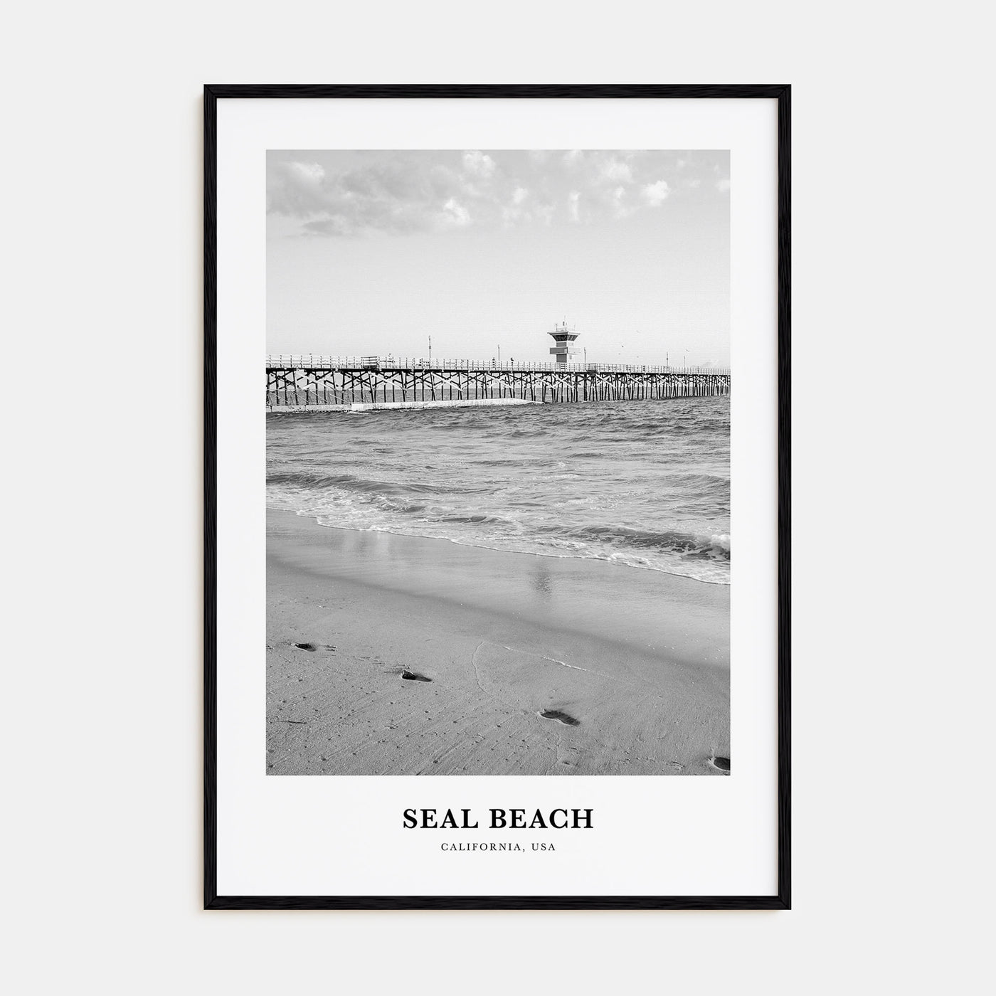 Seal Beach Portrait B&W No 1 Poster