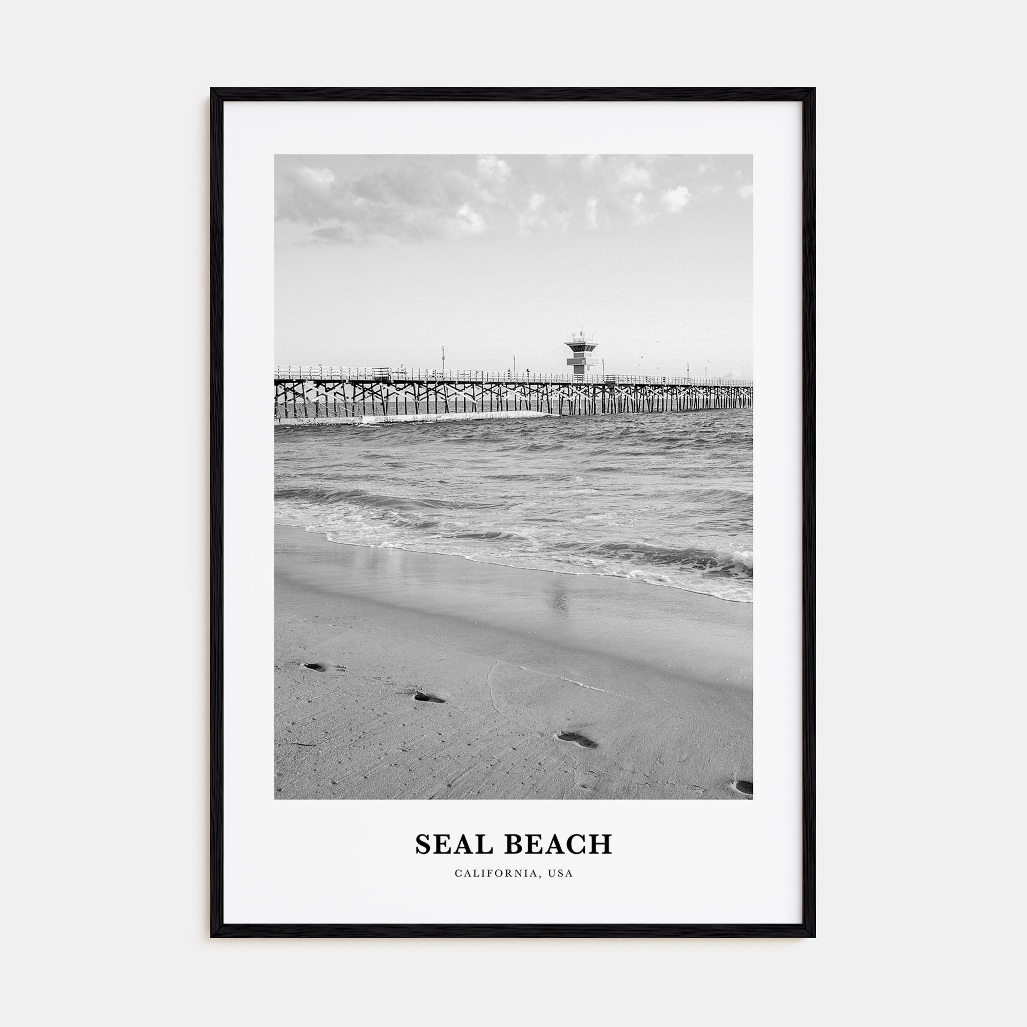 Seal Beach Portrait B&W No 1 Poster