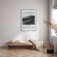 Shenandoah Travel B&W Poster