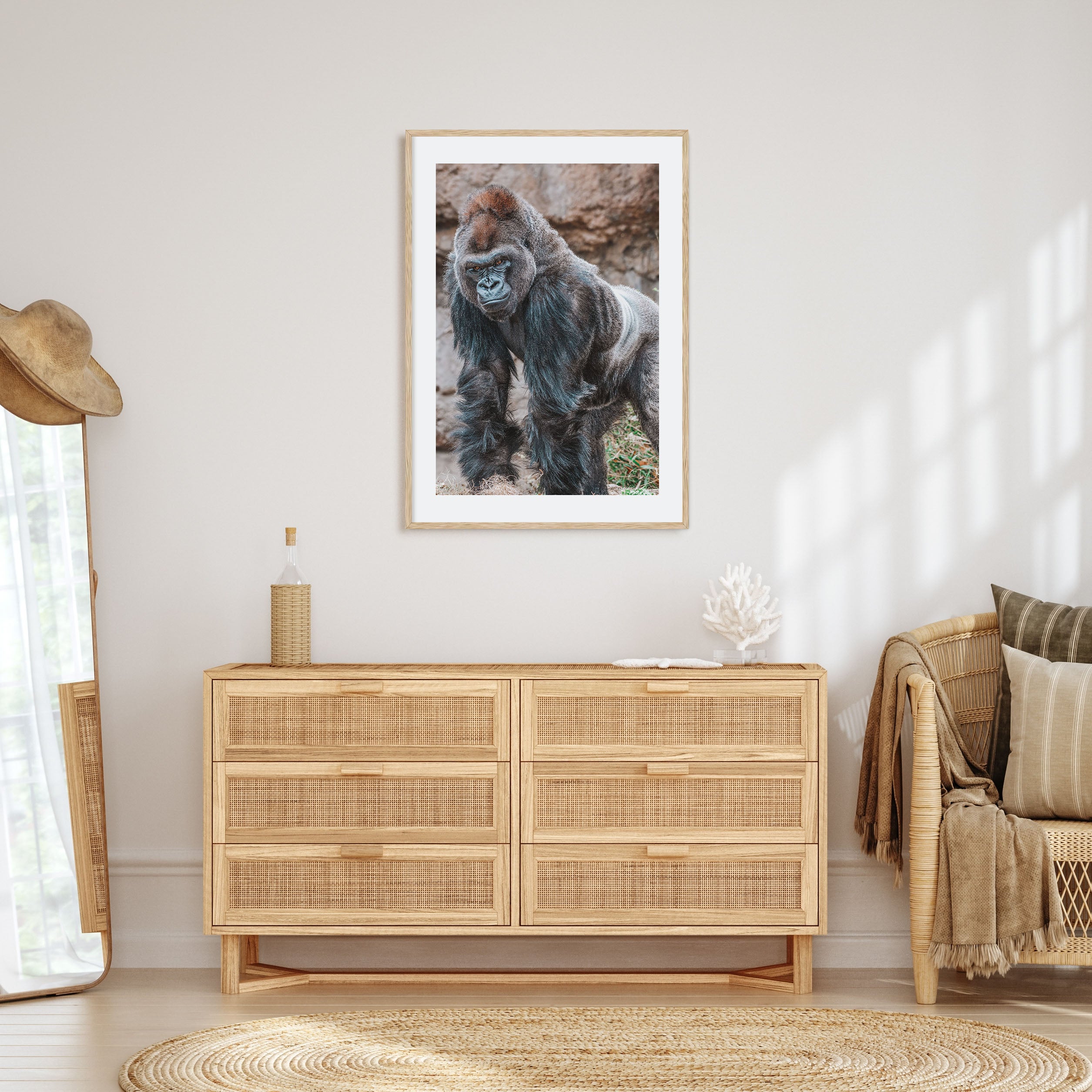Silverback Gorilla Photo Color Poster