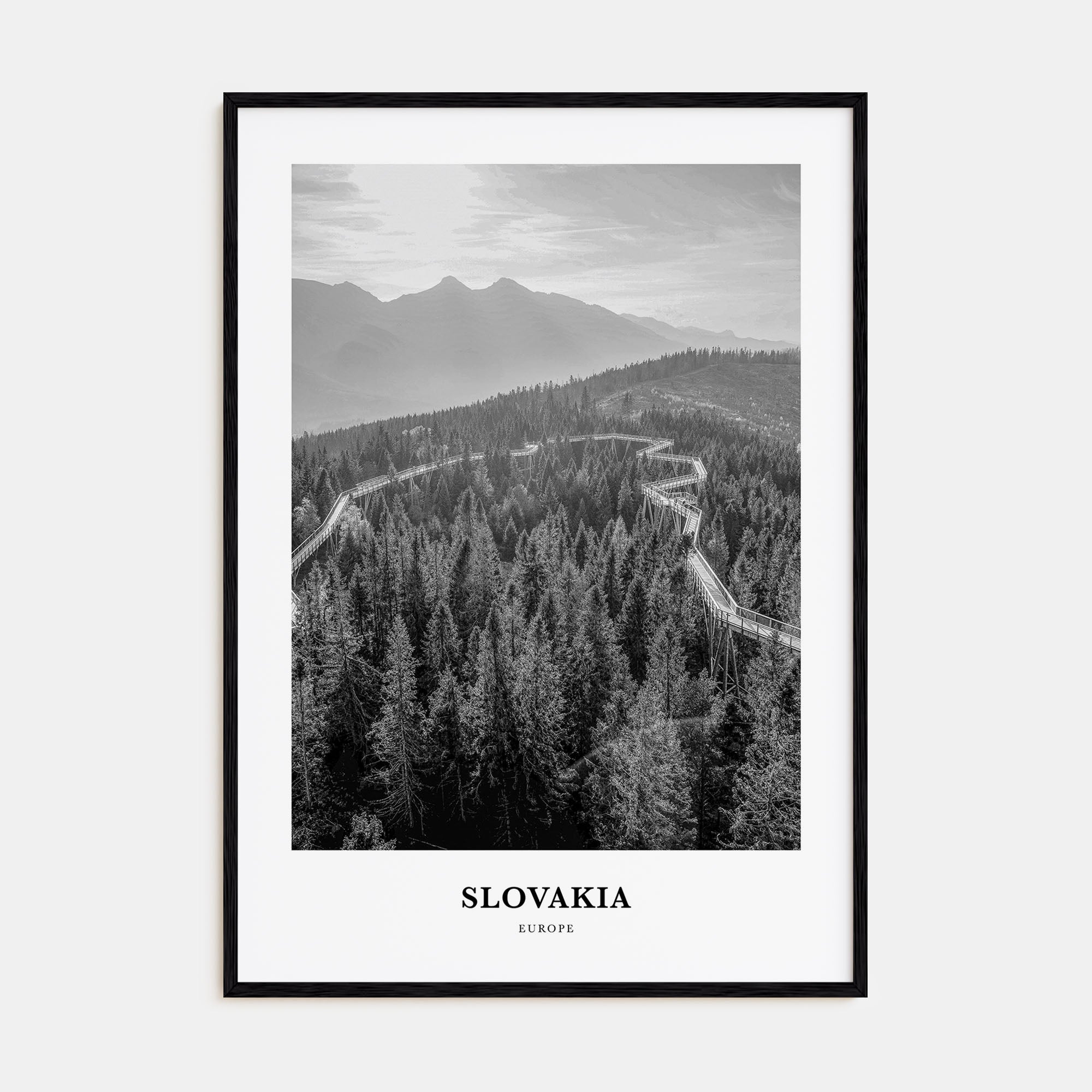 Slovakia Portrait B&W Poster
