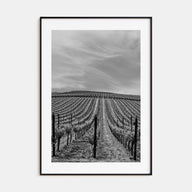 Sonoma Photo B&W Poster