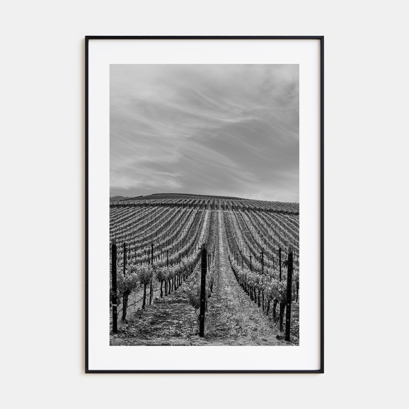 Sonoma Photo B&W Poster