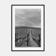 Sonoma Photo B&W Poster