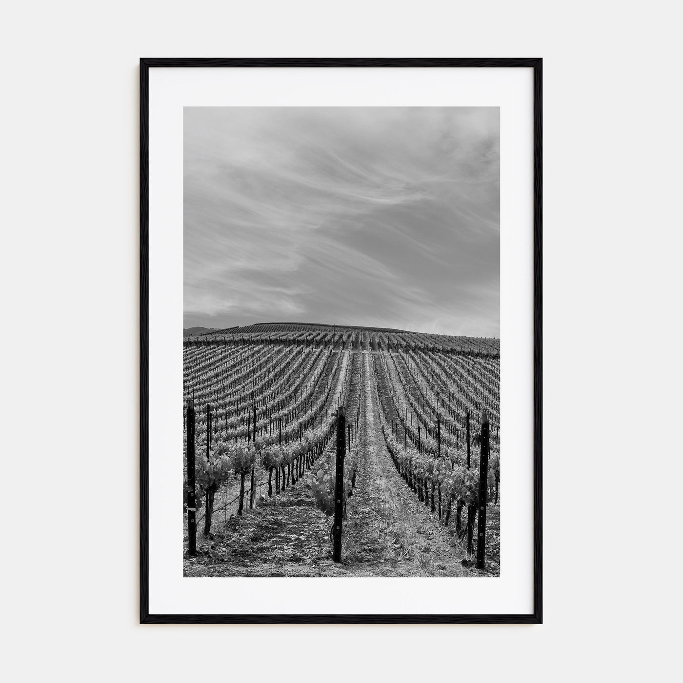 Sonoma Photo B&W Poster