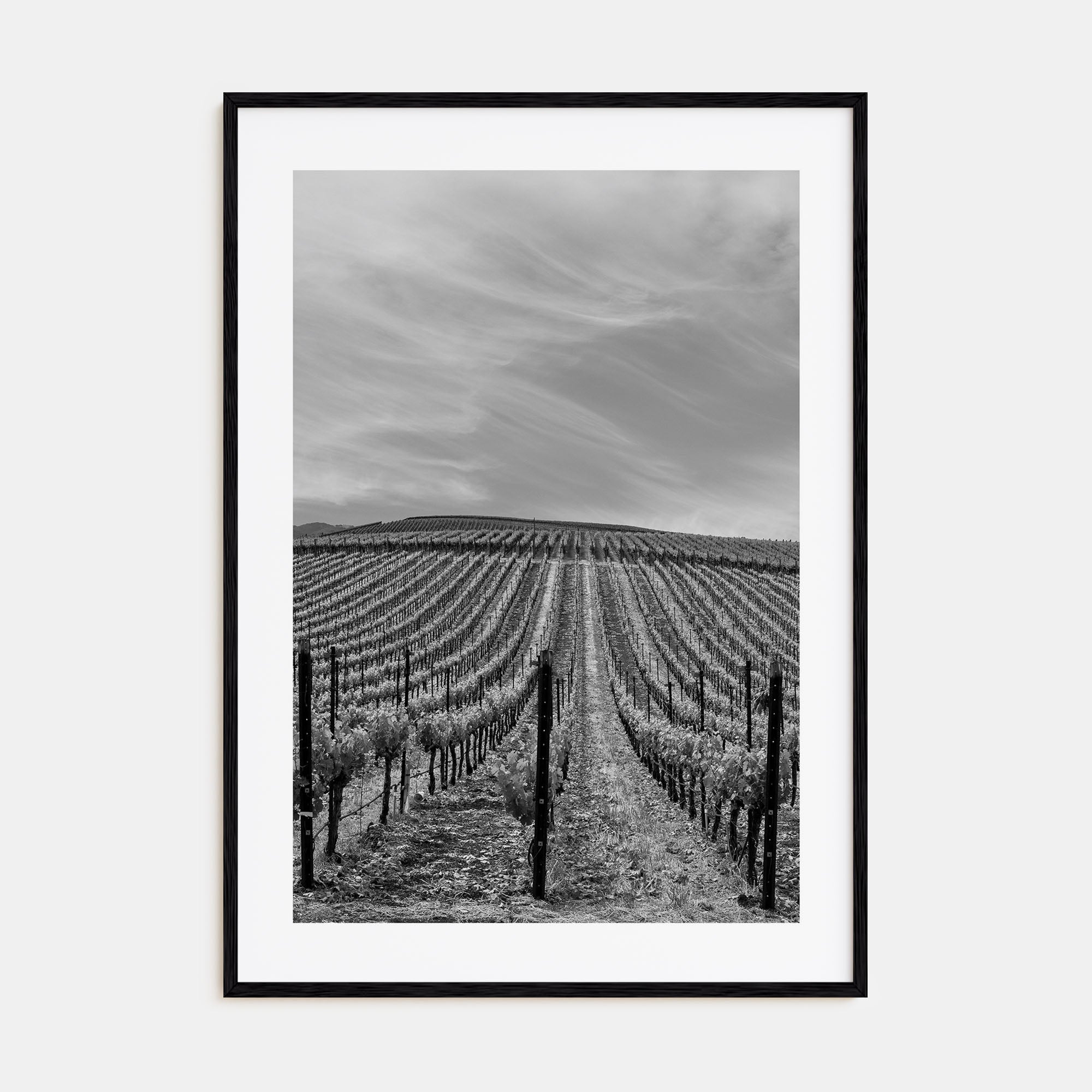 Sonoma Photo B&W Poster