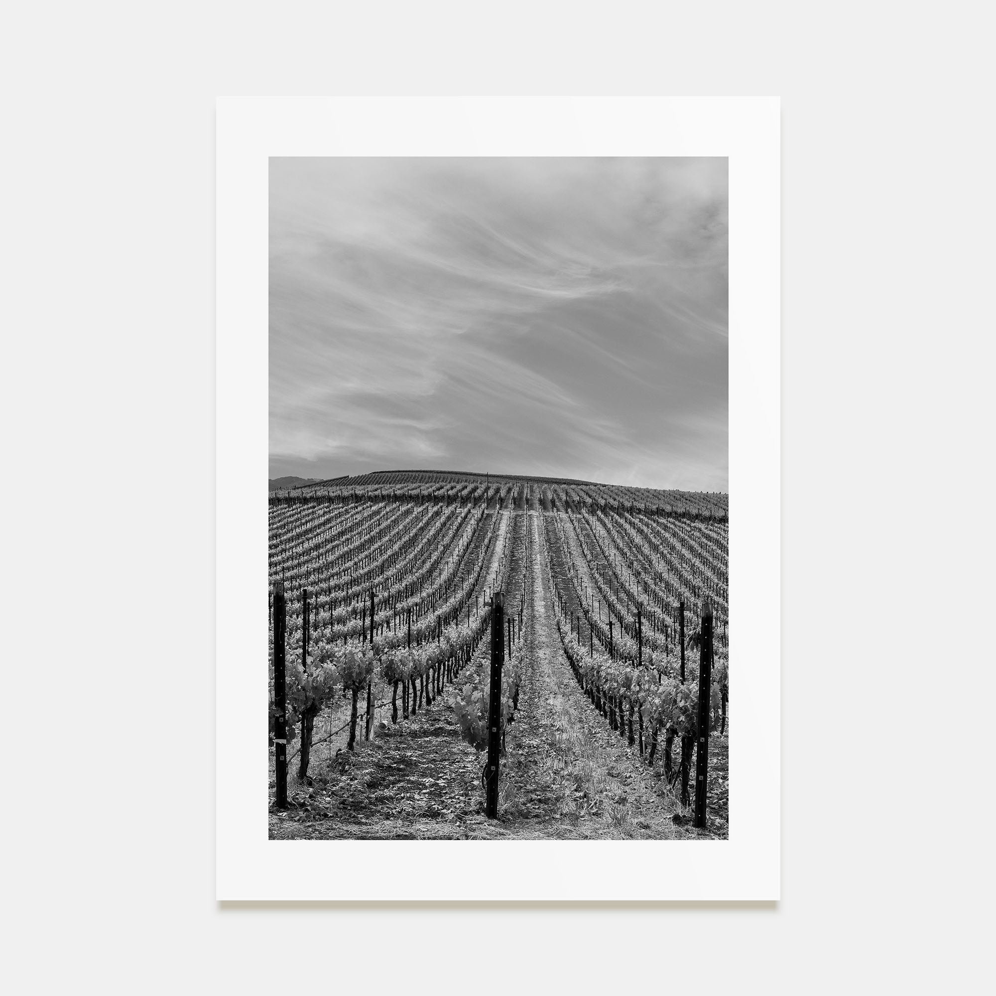 Sonoma Photo B&W Poster