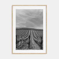 Sonoma Photo B&W Poster