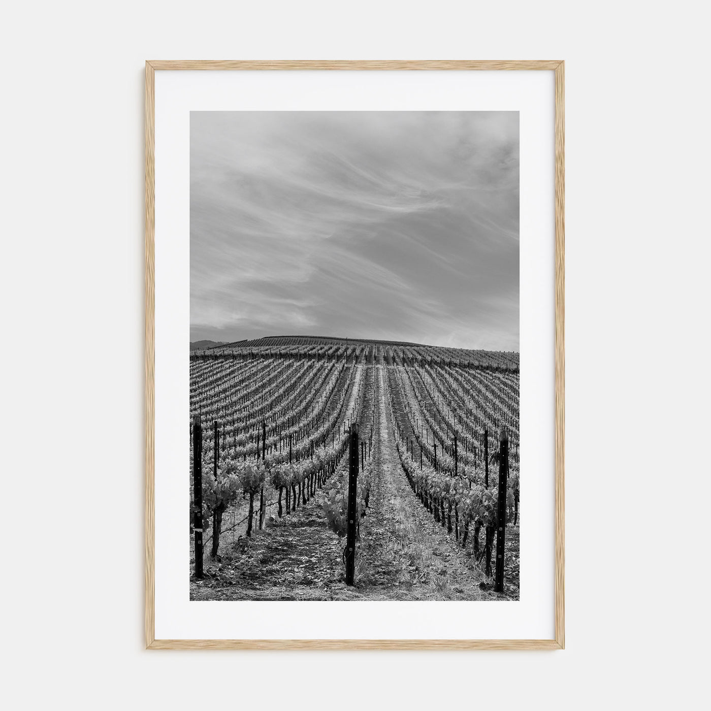 Sonoma Photo B&W Poster