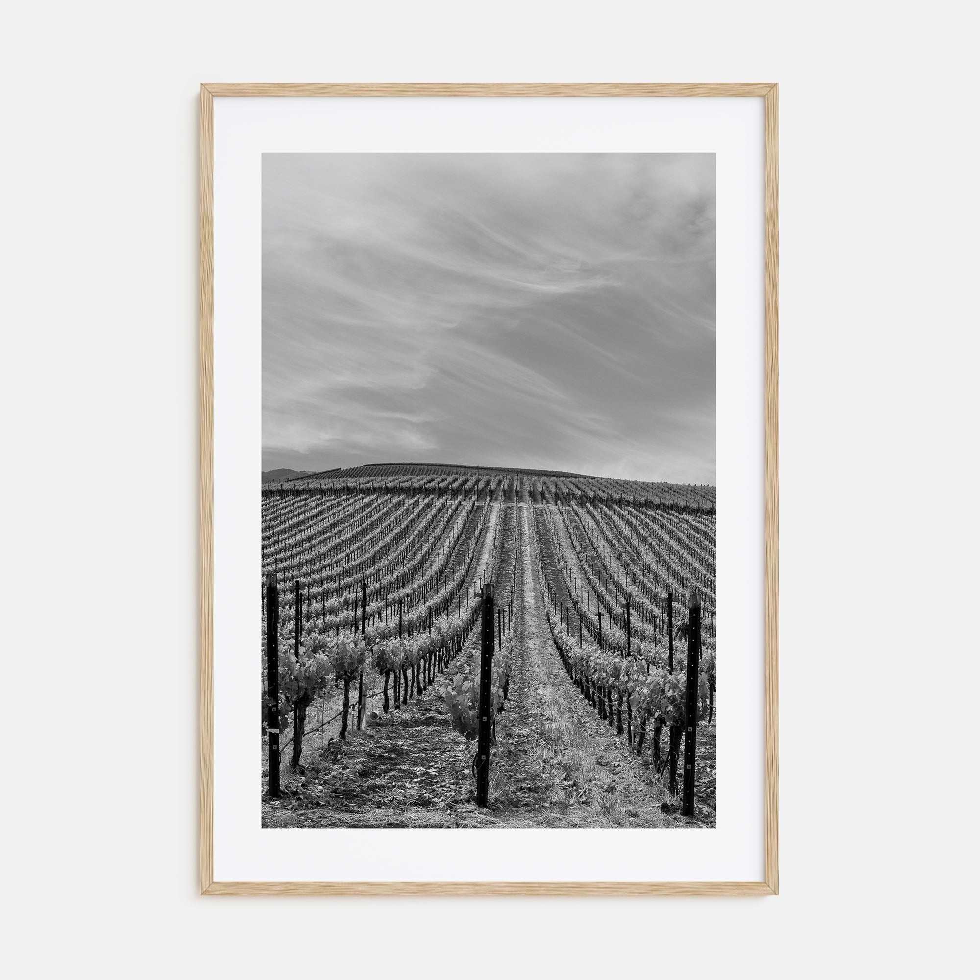 Sonoma Photo B&W Poster