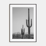 Sonora Photo B&W Poster
