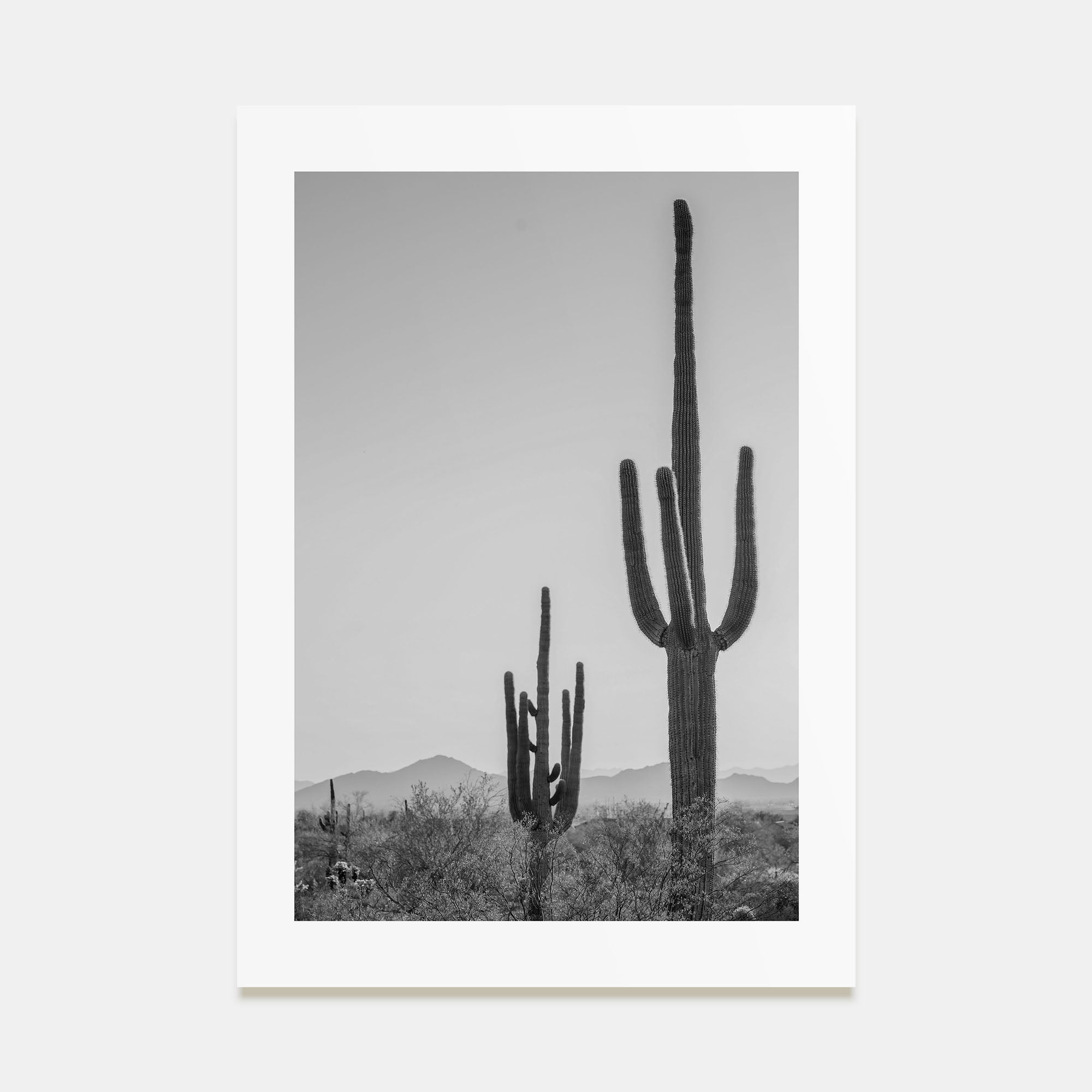 Sonora Photo B&W Poster