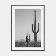 Sonora Photo B&W Poster