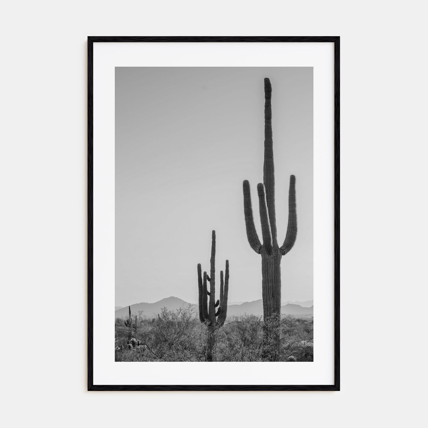 Sonora Photo B&W Poster