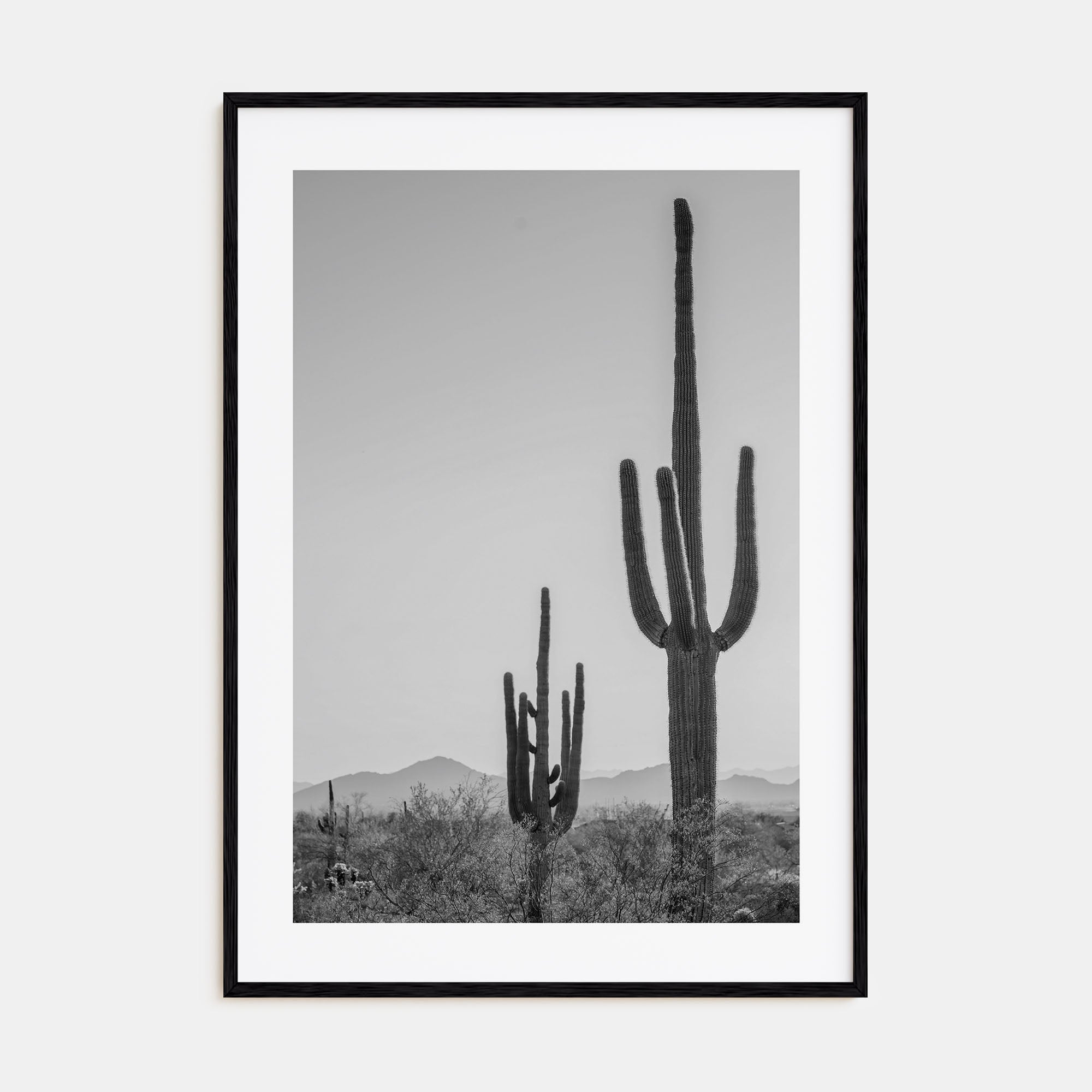 Sonora Photo B&W Poster
