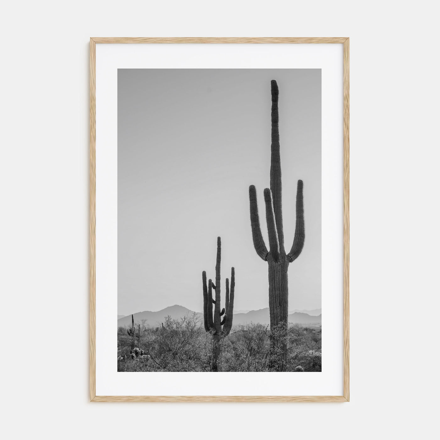 Sonora Photo B&W Poster