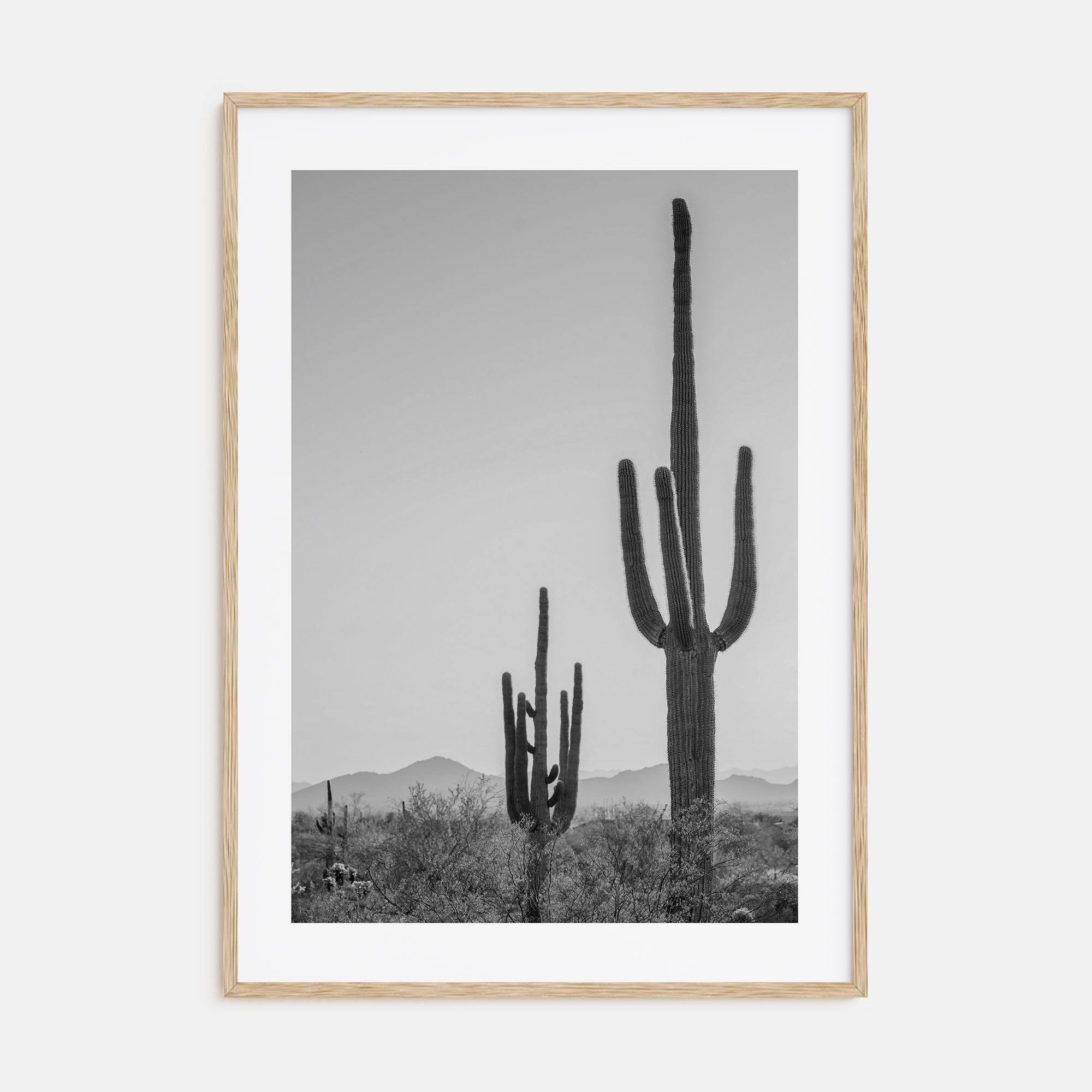 Sonora Photo B&W Poster