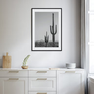Sonora Photo B&W Poster