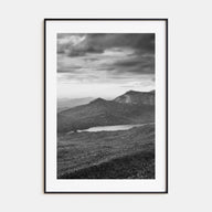 South Carolina Photo B&W Poster