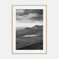South Carolina Photo B&W Poster