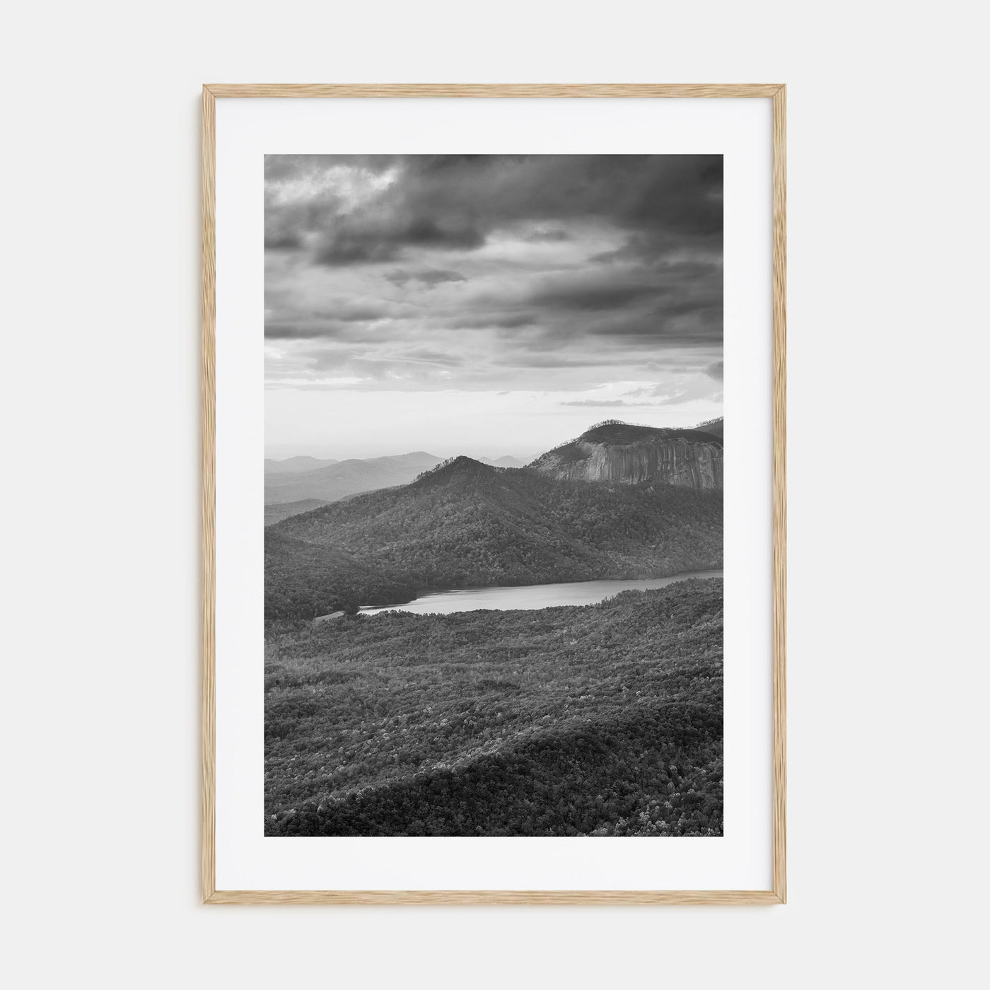South Carolina Photo B&W Poster