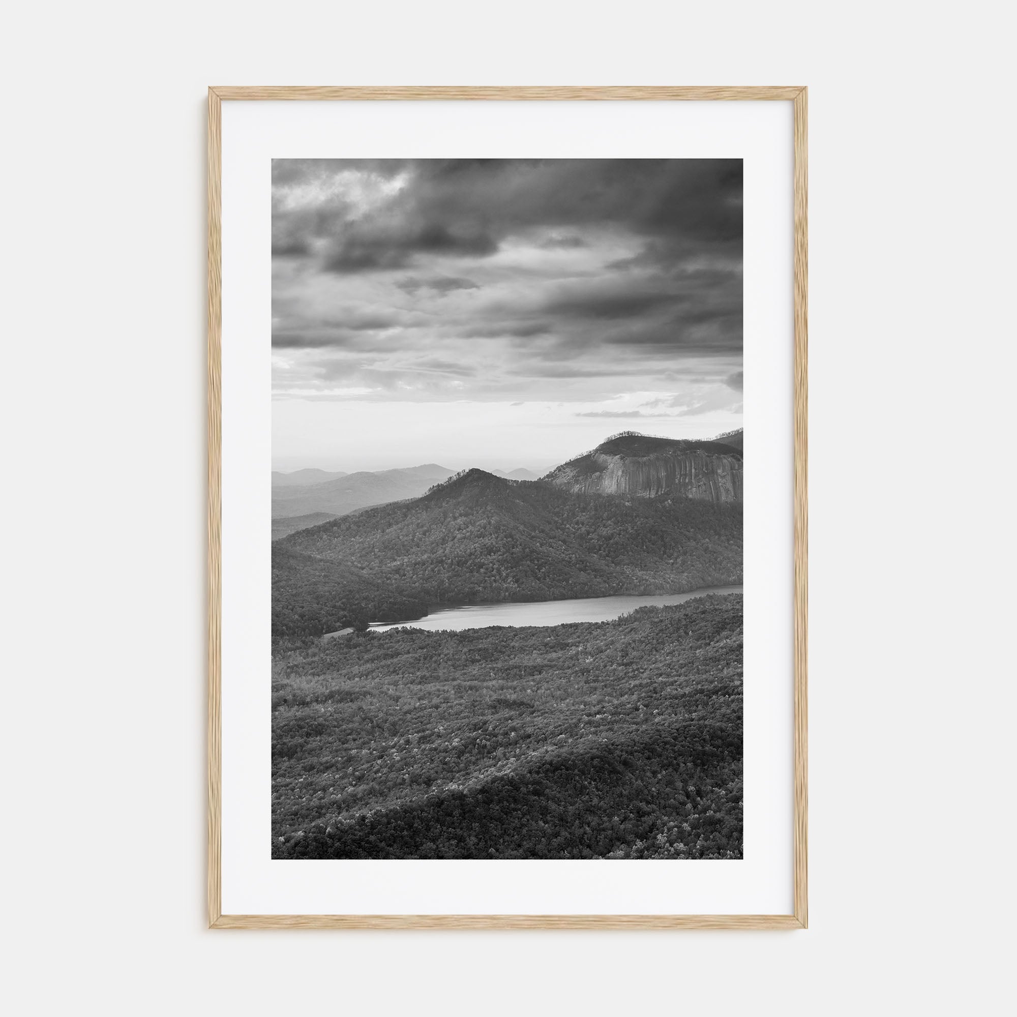 South Carolina Photo B&W Poster