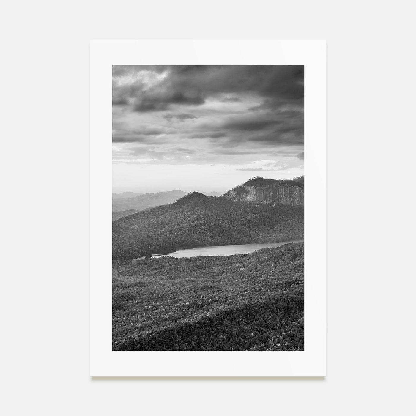 South Carolina Photo B&W Poster