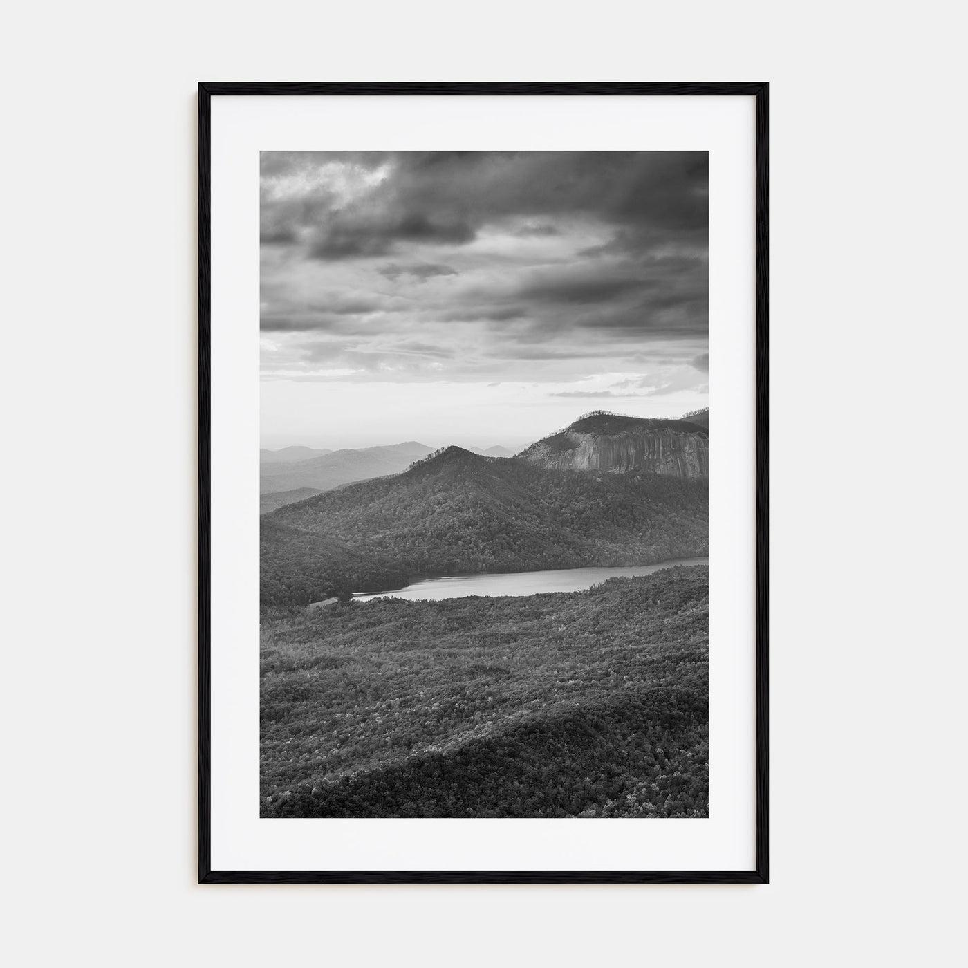 South Carolina Photo B&W Poster