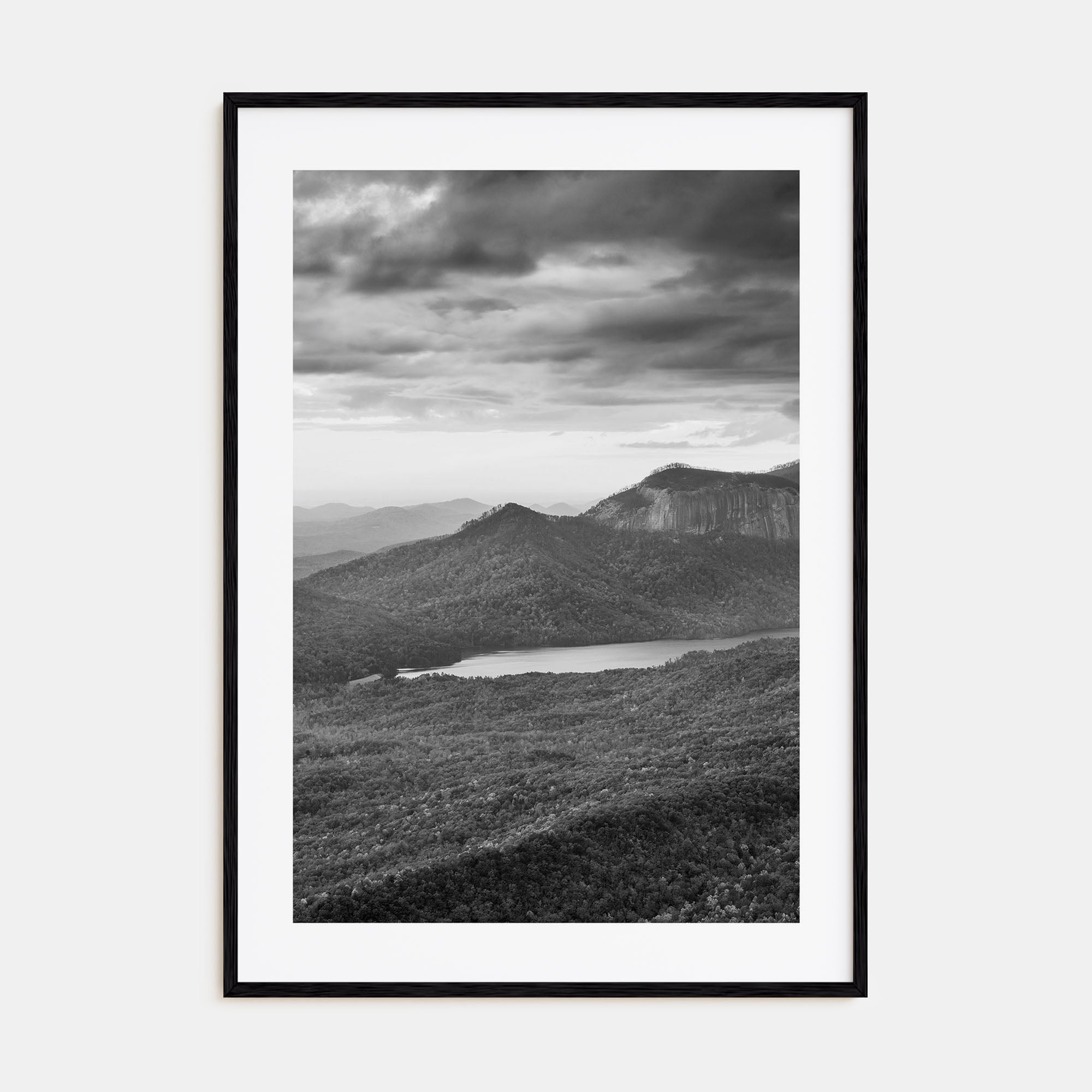 South Carolina Photo B&W Poster