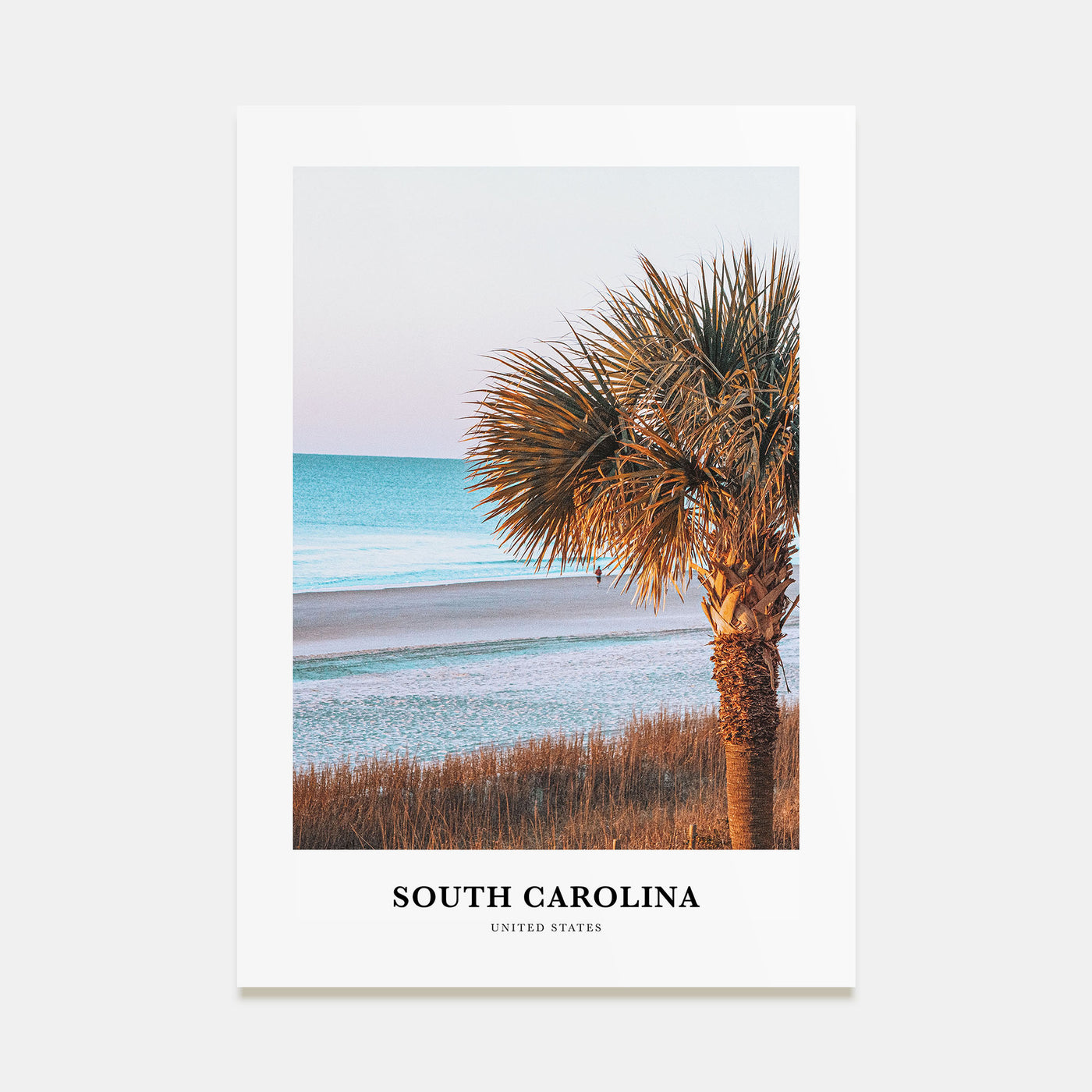 South Carolina Portrait Color No 2 Poster