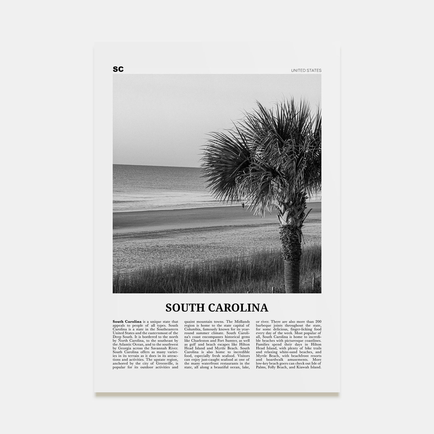 South Carolina Travel B&W No 1 Poster