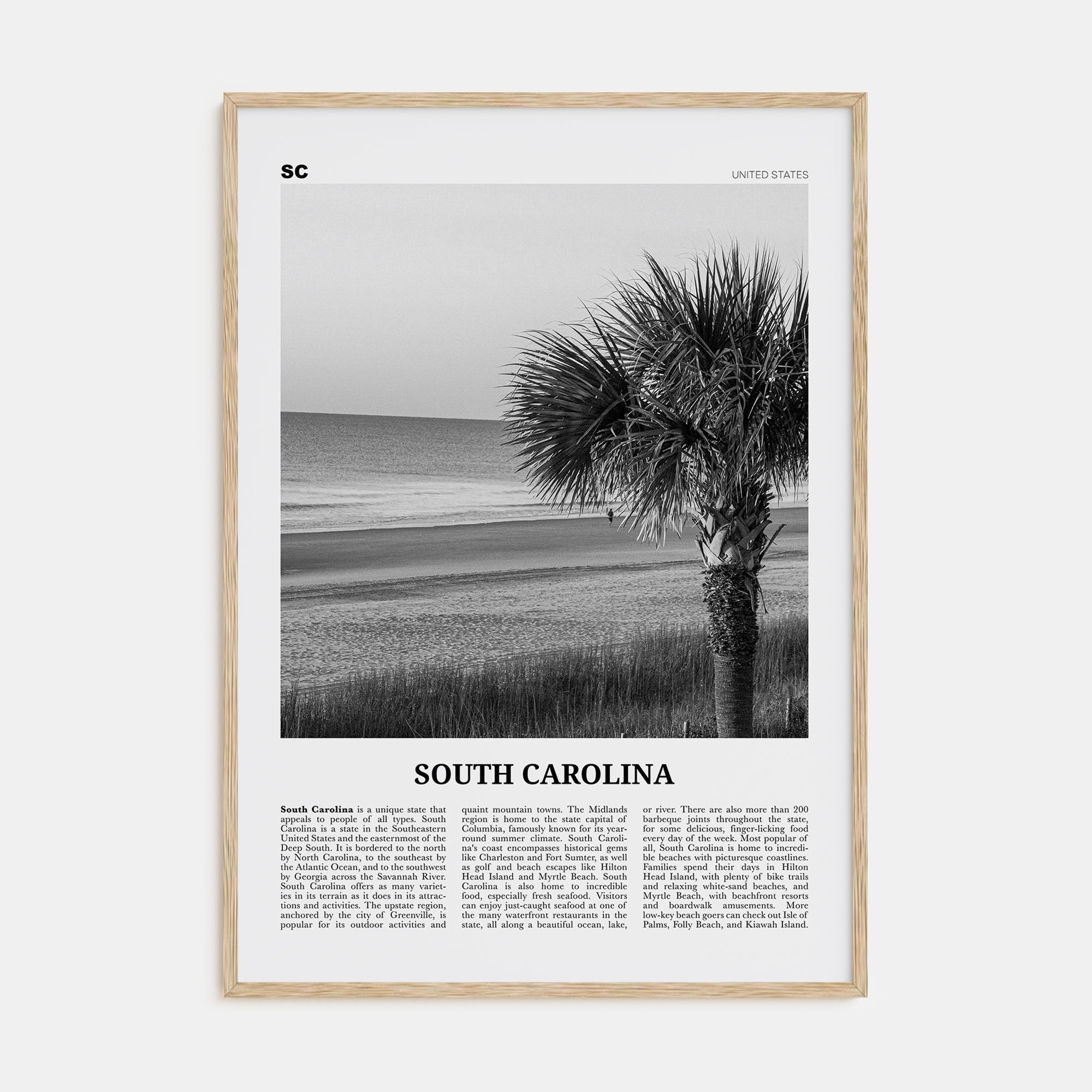 South Carolina Travel B&W No 1 Poster